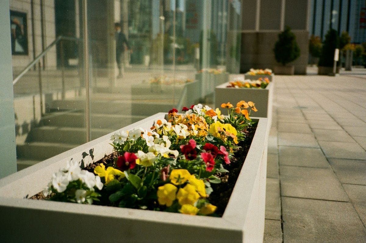 Jardiner&iacute;a institucional el complemento olvidado en la imagen de tu empresa